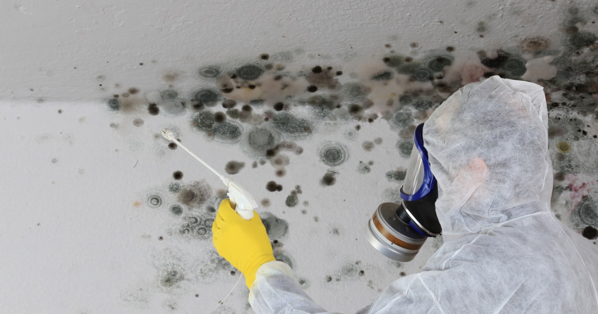 allergy to mold