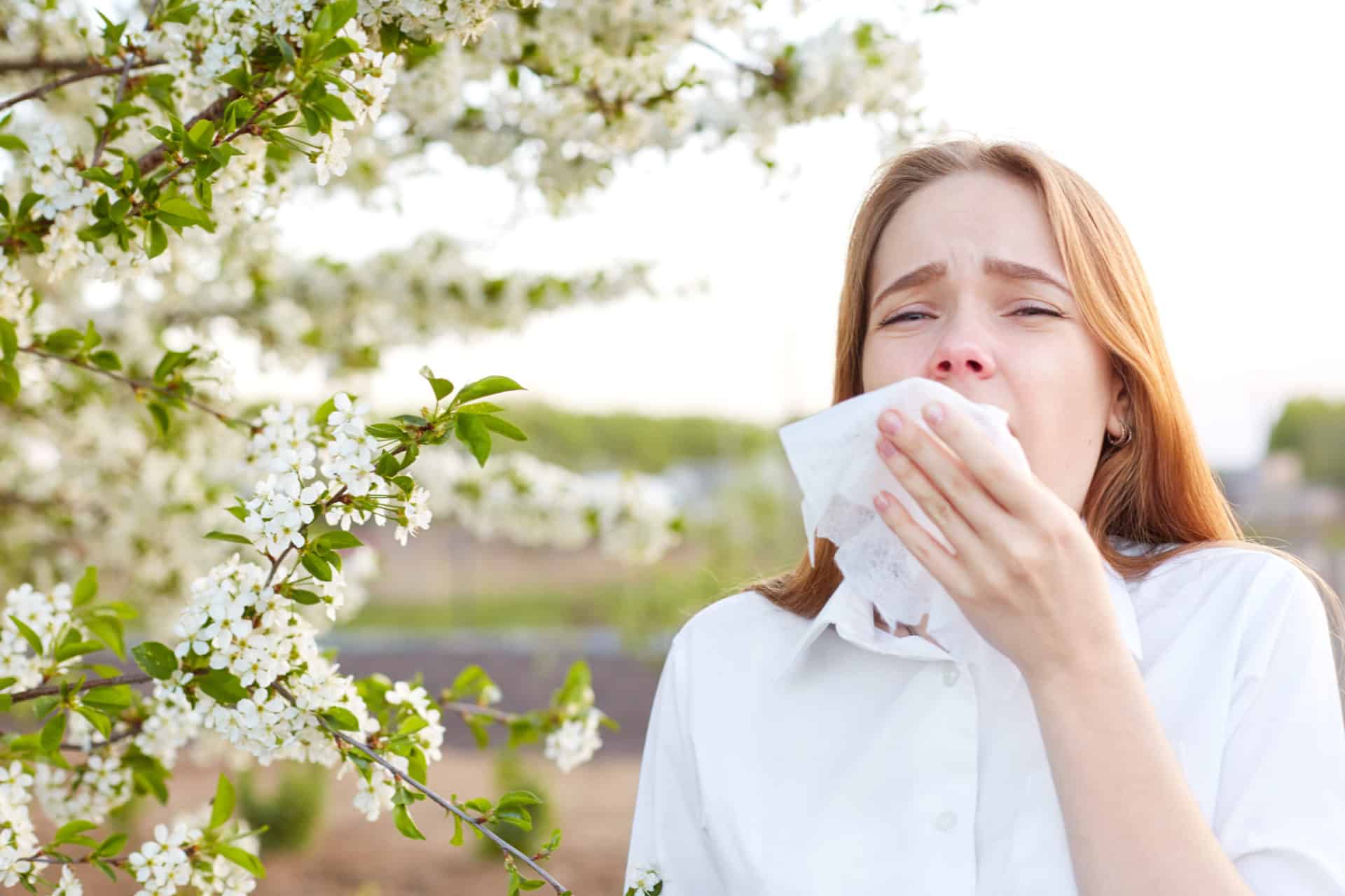 Allergy Season Florida