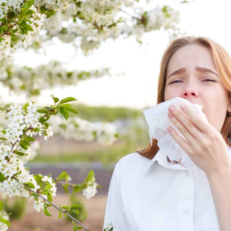 Allergy Season Florida
